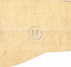 Design 186 — Lines Plan