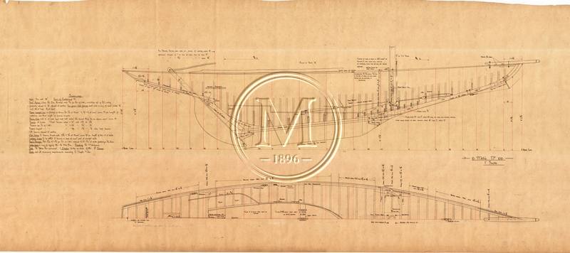 Archive drawing — Snowdrop ll