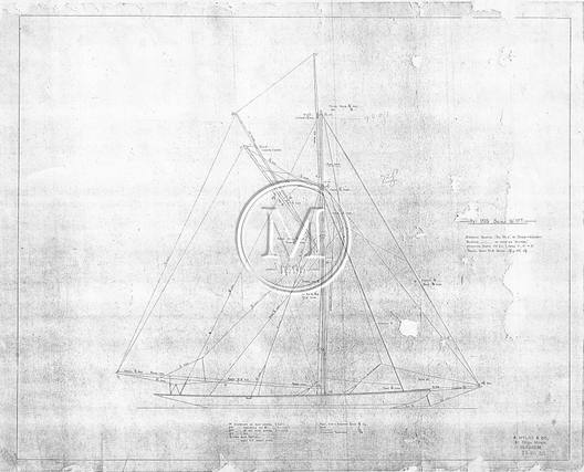 Design 195 — Sail Plan
