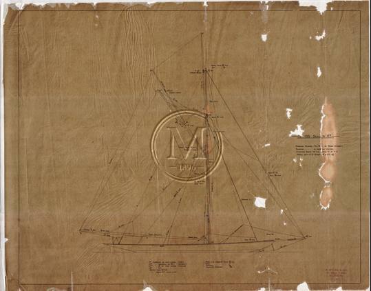 Design 195 — Sail Plan