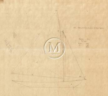 Design 201 — Sail Plan