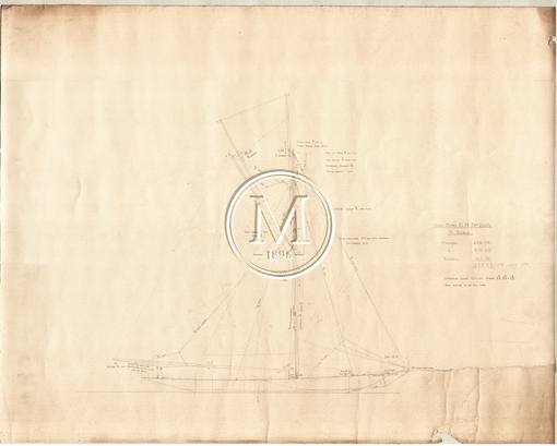 Design 206 — Sail Plan