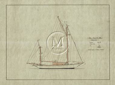Design 208 — Sail Plan