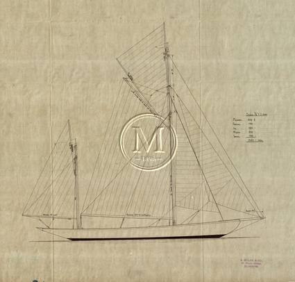 Design 213 — Sail Plan