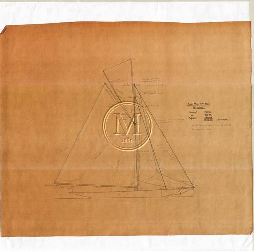Design 237 — Sail Plan