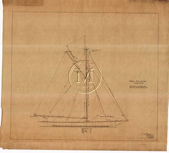 Design 243 — Sail Plan