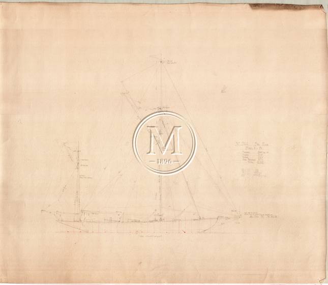 Design 244 — Sail Plan