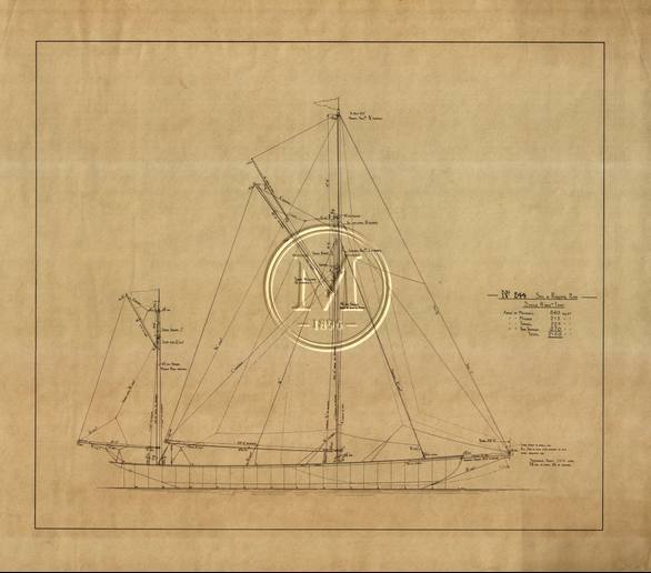 Design 244 — Sail Plan