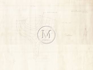 Design 275 — Lines Plan