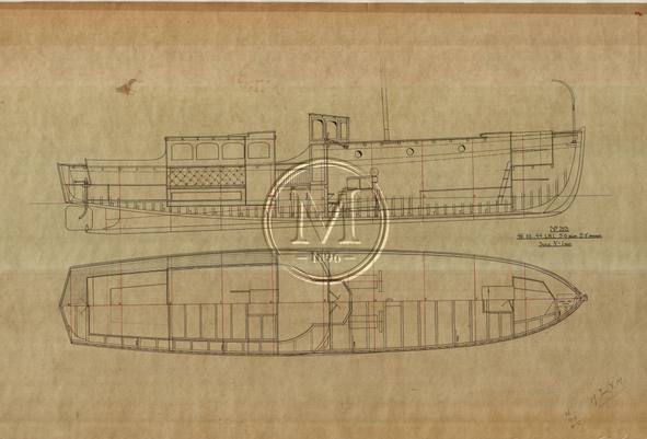Archive drawing — Dragonet