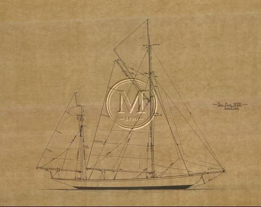 Design 291 — Sail Plan