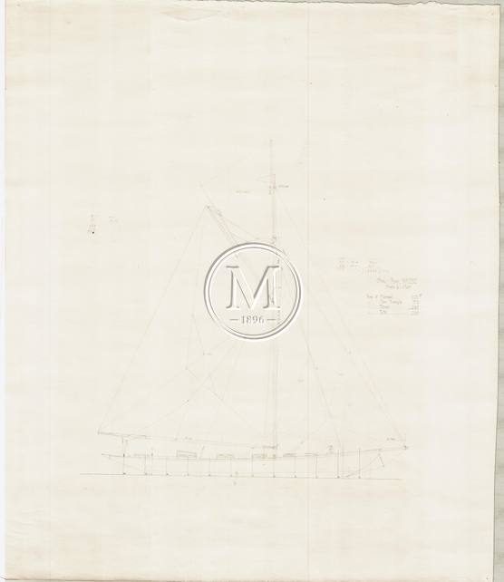 Design 292 — Sail Plan