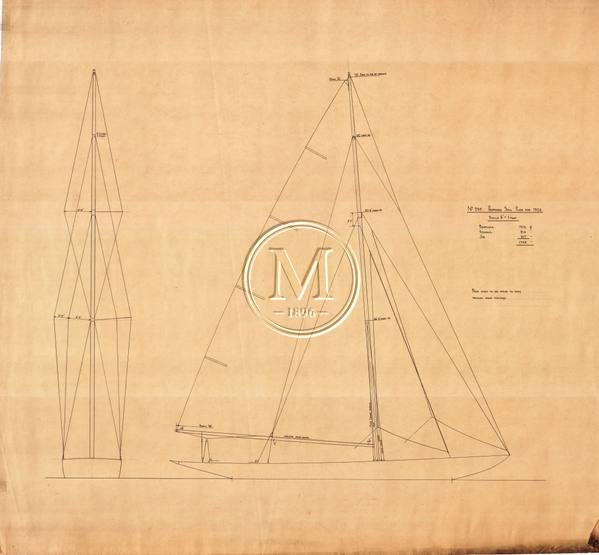 Design 295 — Sail Plan