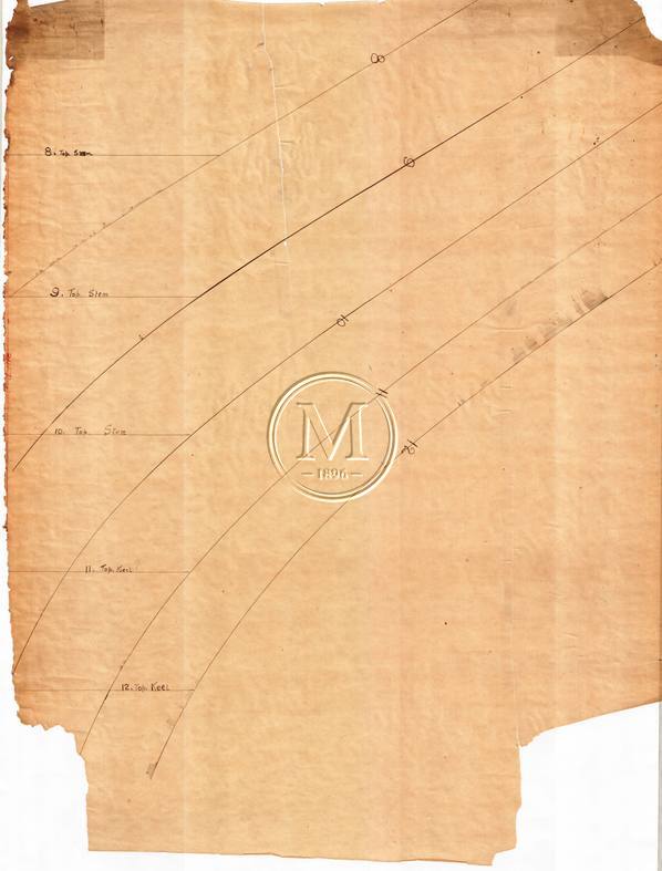 Design 295 — Lines Plan
