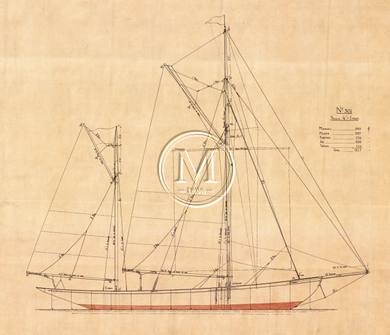 Design 301 — Sail Plan