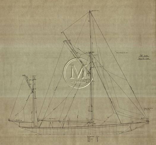 Design 304 — Sail Plan
