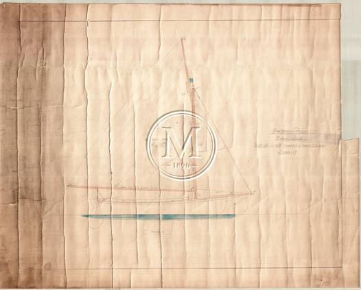 Design 31 — Sail Plan