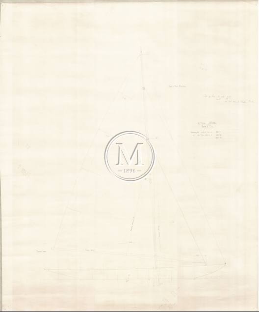 Design 310 — Sail Plan