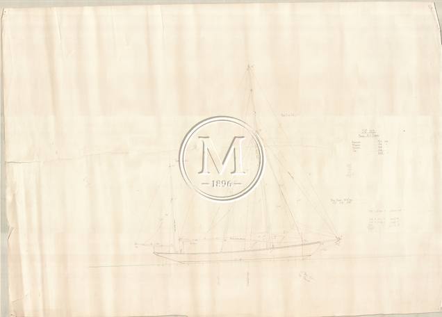 Design 312 — Sail Plan
