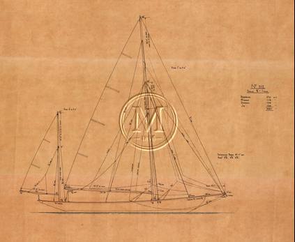 Design 312 — Sail Plan