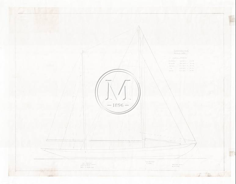 Design 314 — Sail Plan