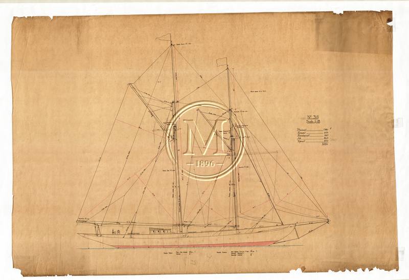Archive drawing — Panope