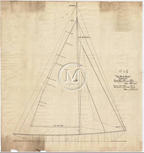 Design 315 — Sail Plan