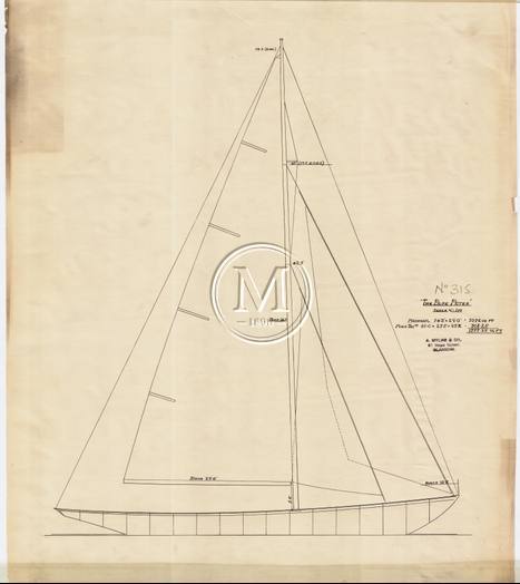 Design 315 — Sail Plan