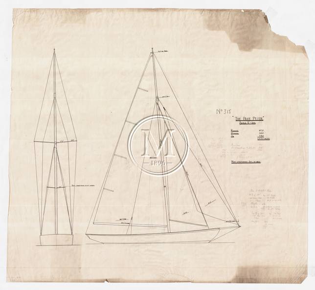 Design 315 — Sail Plan