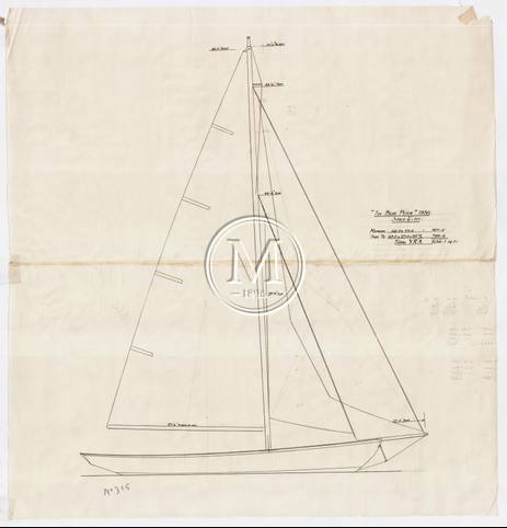 Design 315 — Sail Plan