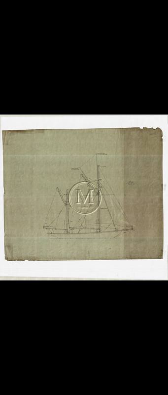 Design 319 — Sail Plan
