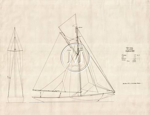 Archive drawing — Nerida