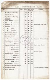Design 335 — Lines Plan