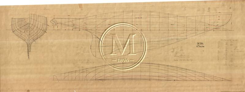 Design 336 — Lines Plan