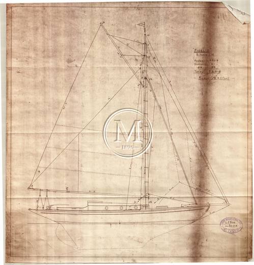 Design 349 — Sail Plan