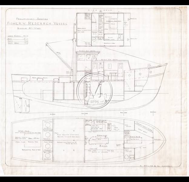 Design 505 — scan 17059