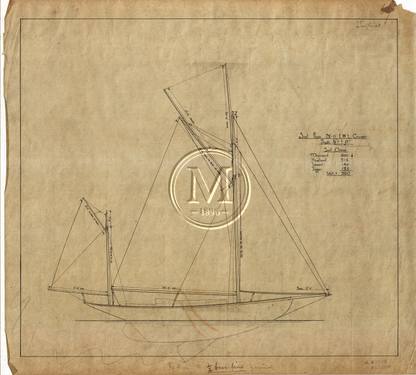 Design 55 — Sail Plan