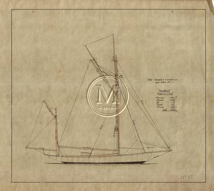 Design 55 — Sail Plan