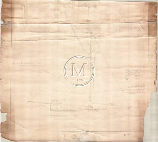 Archive drawing — Myrtle