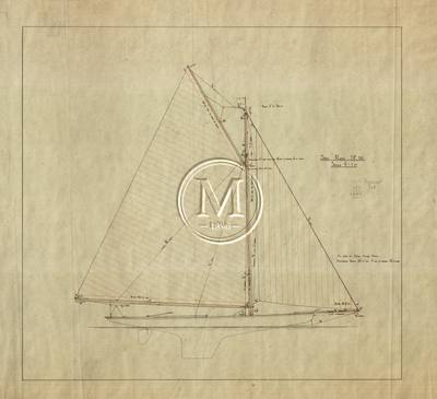 Archive drawing — Mariposa