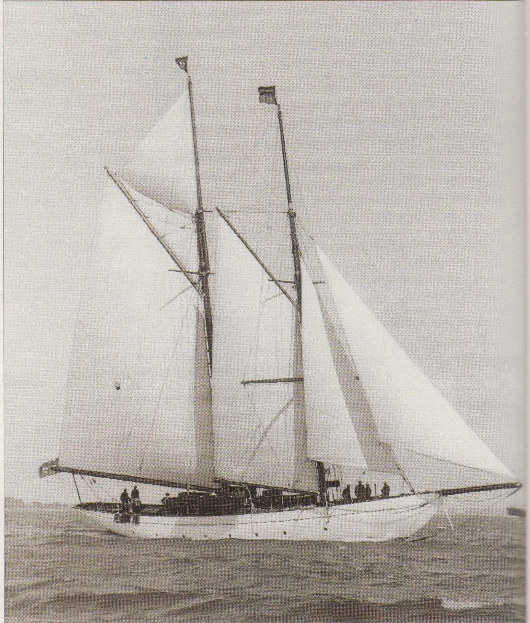 Y.N.354 PANOPE